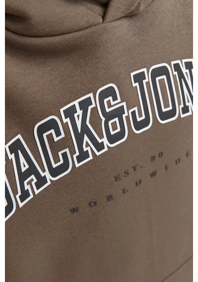 Jack & Jones Çocuk Jjecaleb Sweatshirt Kahverengi