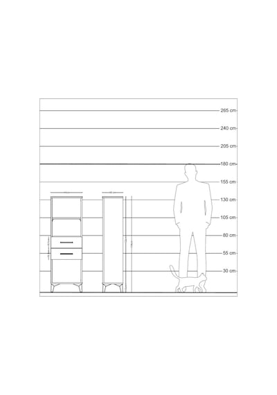 Arges Dolap 2 Raflı 2 Çekmeceli 44x30x134 Çam-antrasit Atlas Çam