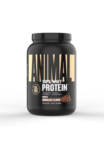 Universal Animal Whey Protein Çikolata Aromalı 908 Gr Çikolata