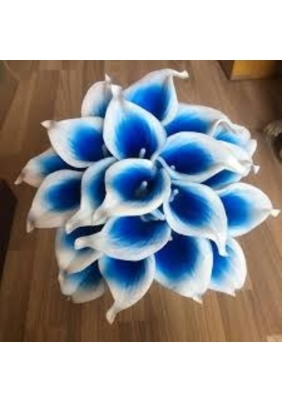 5 Adet Tohum Calla Lily Çiçek Tohumu Afrika Çöl Çiçeği Mavi Lily