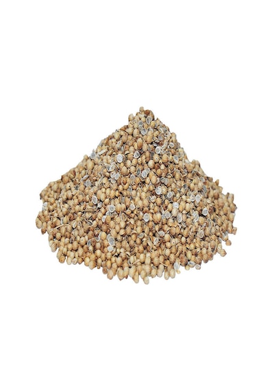 Kişniş Doğal Tane 1000 Gr Paket