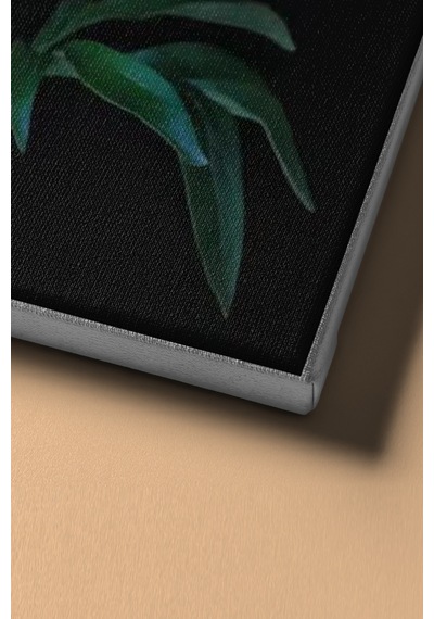 Webstyle Sayılarla Boyama Seti Kasnaklı Beyaz Şakayık 40 X 50 Cm