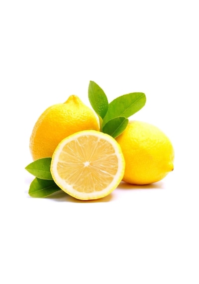 Tüplü Mayer Limon Fidanı
