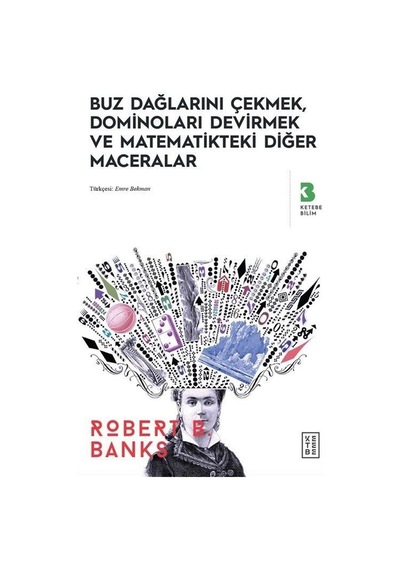 Buz Dağlarını Çekmek Dominoları Devirmek ve Matematikteki Diğer Maceralar  - Robert B. Banks  - Ketebe