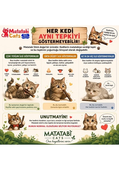 Ayrex Kedim İçin Matatabi Stick Ve Matatabi Oyuncak Seti 5 Parça