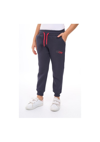 Toontoy Kız Çocuk Nakış Baskılı Beli Paçası Lastikli Cepli Basic Jogger Eşofman Altı 2 İplik Füme