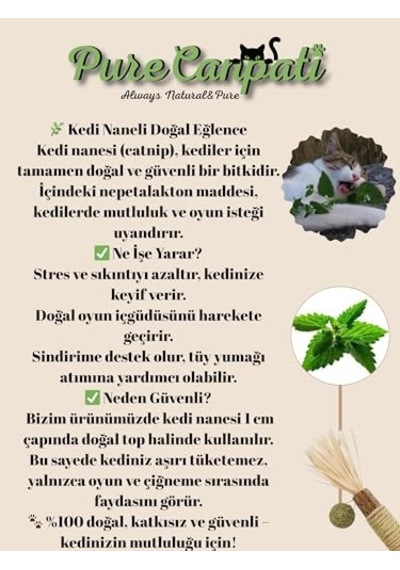Greenwich Organik İçerikli Kedi Köpek Temizleme Köpüğü 150 Ml Pati Ve Vücut Kuru Şampuan Kaşıntı Tahriş Ve Koku Giderici Vegan