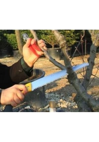 Bağ Bahçe Agaç Dal Çalı Ot Budama Kesme Seti Testere Makas  Tırpan