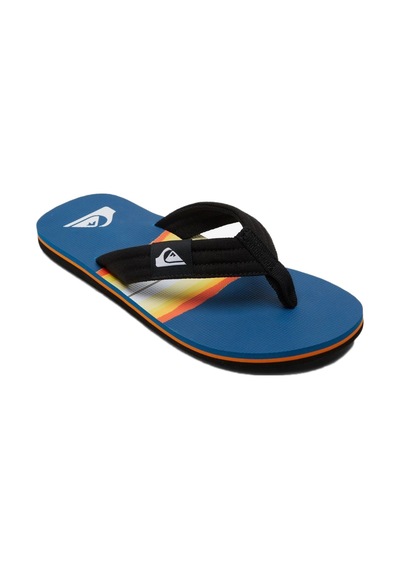 Quiksilver Molokai Layback Erkek Parmakarası Aqyl101241 Mavi