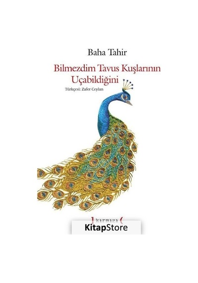 Bilmezdim Tavus Kuşlarının Uçabildiğini - Baha Tahir