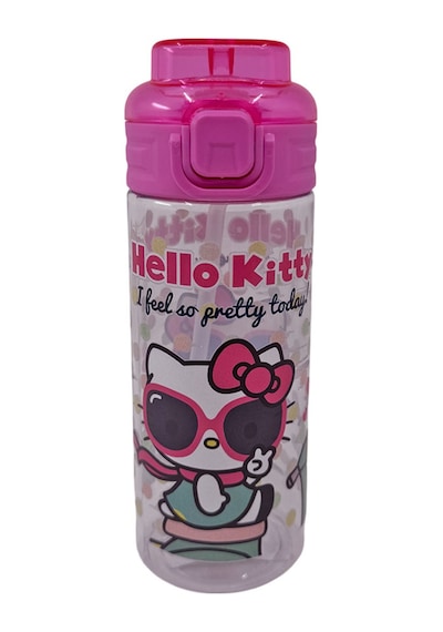 Hello Kitty Lisanslı 500 Ml Matara 3416 Çok Renkli