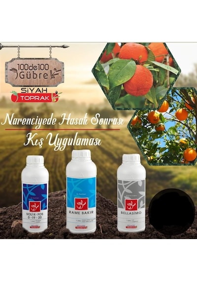 Narenciye Ağaçlarında Hasat Sonrası Kış Uygulaması Seti