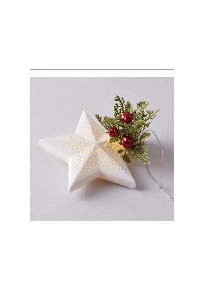 Ornate Star 11,8 2,5 10,9 Cm Ledli Dekor Beyaz