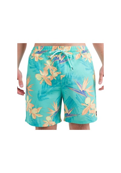 Hurley Hurley Cannonball 17 Erkek Volley Short 6659 Çok Renkli