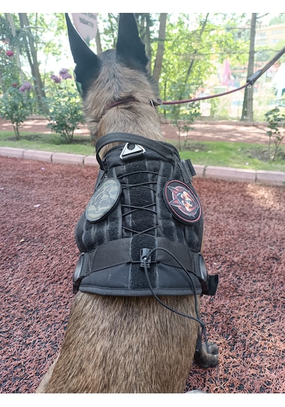 Tactical Göğüs Tasması Taktik Tasma Siyah