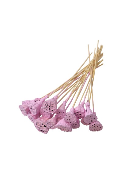20 Adet Bambu Şiş Saplı Mini Lotus Çiçeği Plant Lila Gerçek Lotus