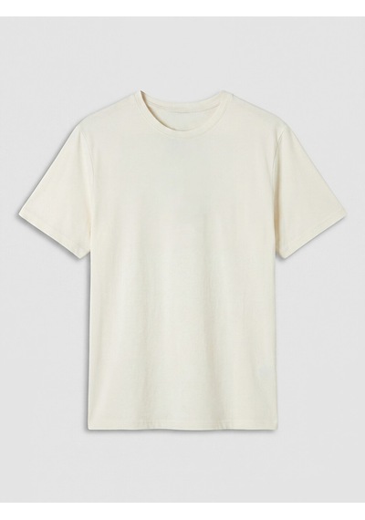 Lcwaıkıkı Classic Bej Regular Fit Basic Erkek Dry Touch Tişört