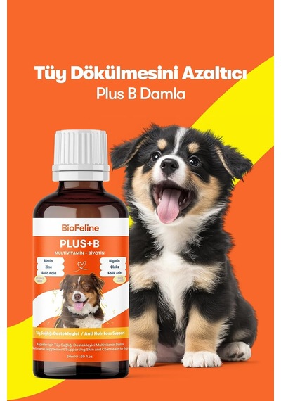 Tr Köpekler İçin Plus B Damla 50ml Ve Tüy Dökülmesini Engelleyici Biotinli Tüy Sağlığı Damlası