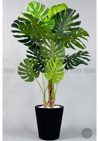 Biçiçek Yapay Monstera Ağacı Deve Tabani 160 Cm Si̇yah Luna Saksıda