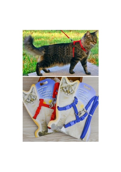 120 Cm Ayarlanabilir Kedi Göğüs Tasması