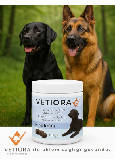 Köpek Kas Ve Eklem Güçlendirici Glukozamin, Kondroitin, Msm, Hyaluronik, Ödül Formunda 150 Gr