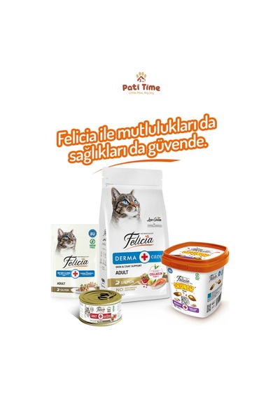 Tüy Yumağı Önleyici Deri Ve Tüy Sağlığı Beauty Kedi Crunch Ödül Maması Tavuklu & Somonlu 100 Gr