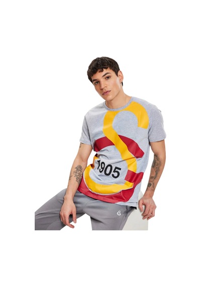 Gsstore Galatasaray Büyük Logolu Tee Gri T-shirt Bayrak Ve Uv Kutu Hediyeli Gri