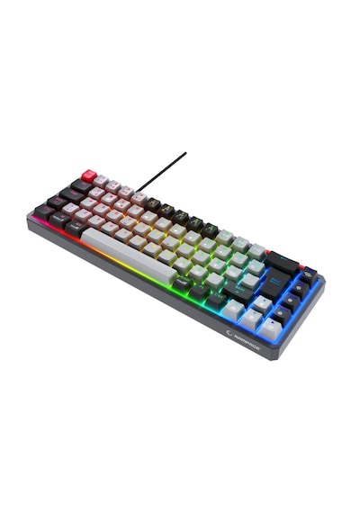 Rampage Yoru Mini Kırmızı Switch Kablosuz RGB Mekanik Oyuncu Klavyesi