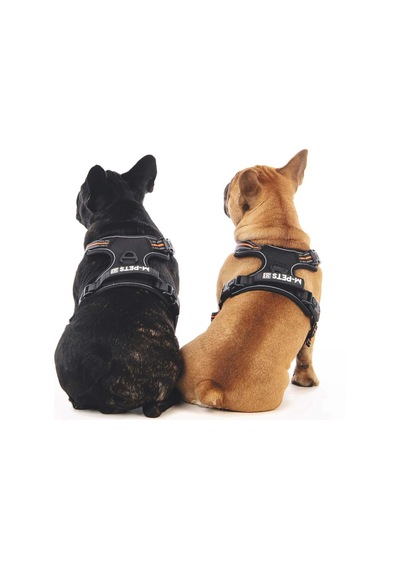 M-pets Hıkıng Reflektörlü Soft Köpek Göğüs Tasması Turuncu S Siyah