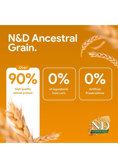 N&d Ancestral Grain Kedi Maması, Kuru Mama, Tavuk, Kılçıksız Buğday, Yulaf Ve Narlı, Kısırlaştırılmış, 5 Kg