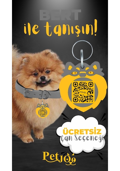 Petjoo 13.Bert Sarı-Gri Qr'lı Köpek Künyesi