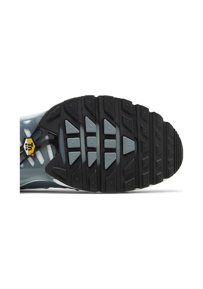 Nike Tn Air Max Plus Waterway Spor Ayakkabı Çok Renkli