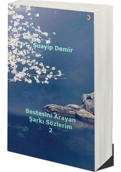 Bestesini Arayan Şarkı Sözlerim 2 / Şuayip Demir