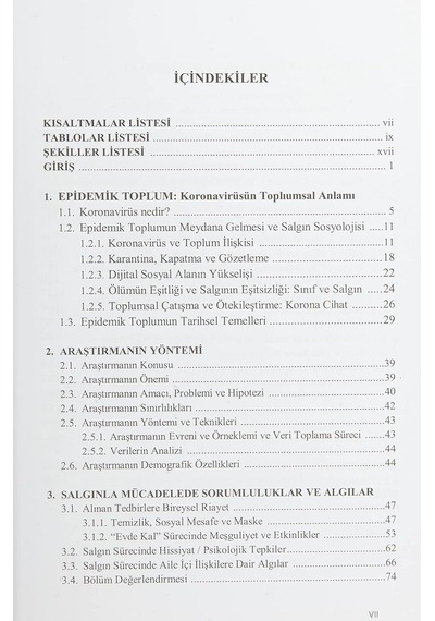 Epidemik Toplum: Koronavirüsün Türkiye De Toplumsal Etkileri