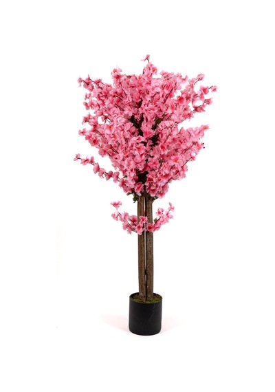 120 Cm Pembe Bahardalı Ağacı