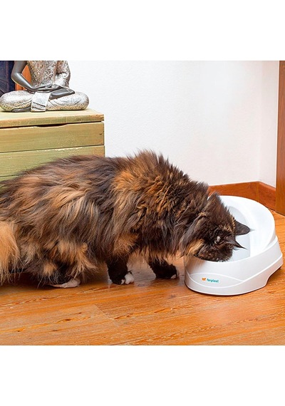 Tr Vega Otomatik Kedi Su Kabı
