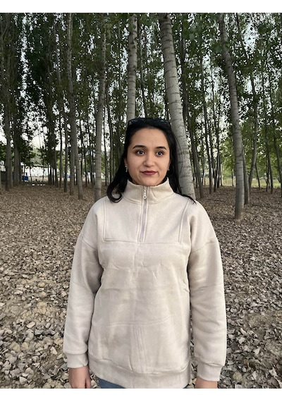Fermuarlı Polo Yaka Kazak/ Sweatshirt Gri