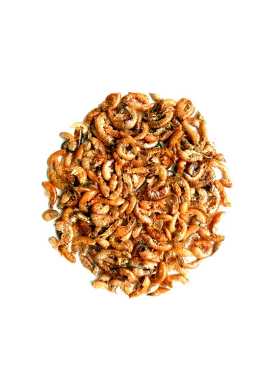Gammarus 1000ml + Lotus Turtle Sticks 250ml Kaplumbağa Yemi