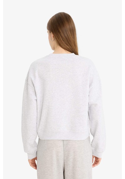 Defacto Regular Fit Bisiklet Yaka Kalın Basic Düz Sweatshirt D6645AX24WNGR256 Gri