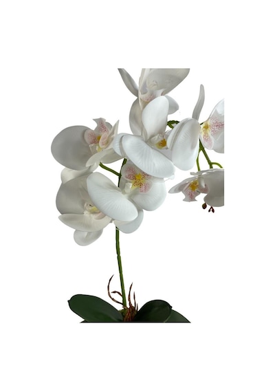 Nettenevime Kütük Saksılı Tekdal Islak Orkide Yapay Çiçek Beyaz 50 x 30 CM Nettenevime Kütük Saksılı Tekdal Islak Orkide Yapay Çiçek Beyaz 50 x 30 CM