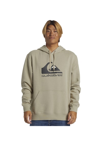 Quiksilver Big Logo Hoodie Erkek Sweatshirt Renkli