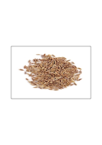 Arzuman Dereotu Tohumu 25 G
