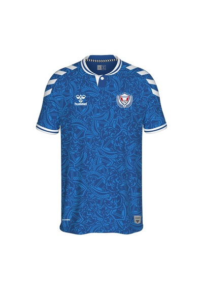 Hummel Sincan Belediyesi Ankara Spor Mavi Forma 25/26 Tek Üst