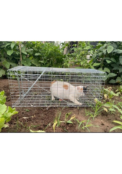 Kedi Kapanı Kedi Canlı Yakalama Zararsız Kedi Tuzağı Kedi Canlı Y