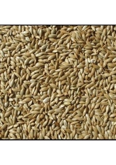 Vivid Sade Kanarya Yemi Bölünmüş 10 KG