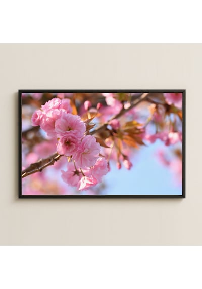 Pembe Sakura Çiçekleri Ve Bahar Dalları Temalı Retro Pvc Tablo Pvc Tablo