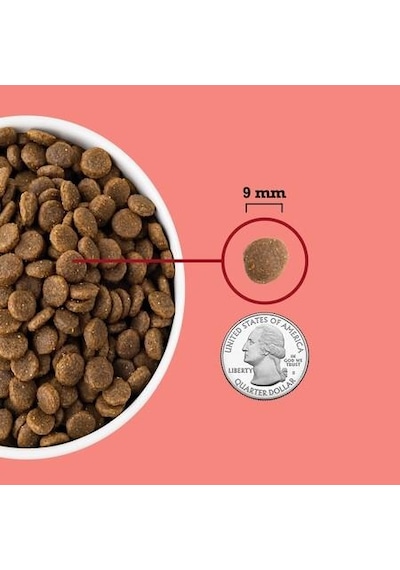 Acana Indoor Yüksek Proteinli Yetişkin Kedi Maması 4500 G Acana Indoor Yüksek Proteinli Yetişkin Kedi Maması 4500 G