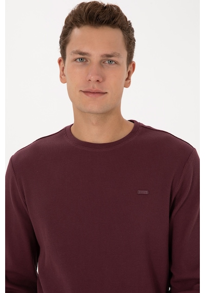 U.S. Polo Assn. Erkek Regular Fit Bisiklet Yaka Bordo Sweatshirt 50316390-VR177