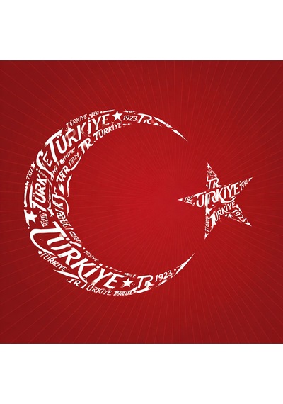 Sportive Türkiye Baskılı Çocuk Kırmızı Günlük Stil T-shirt 26du0004-krm