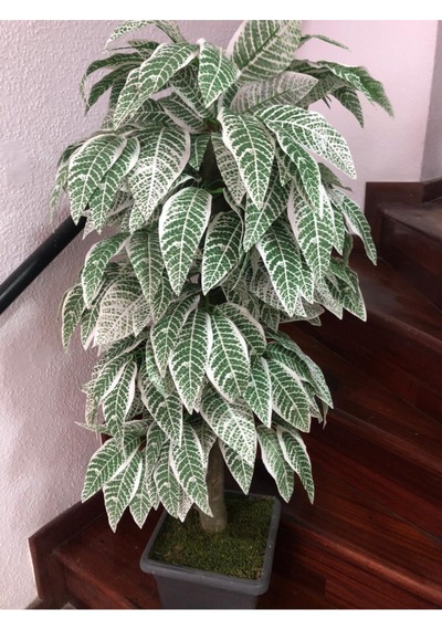 Yapay Yeşil-beyaz Yapraklı Ceviz Ağacı 130cm Yeşil-beyaz